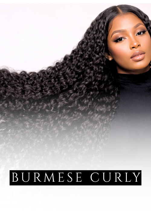 Burmese Curly